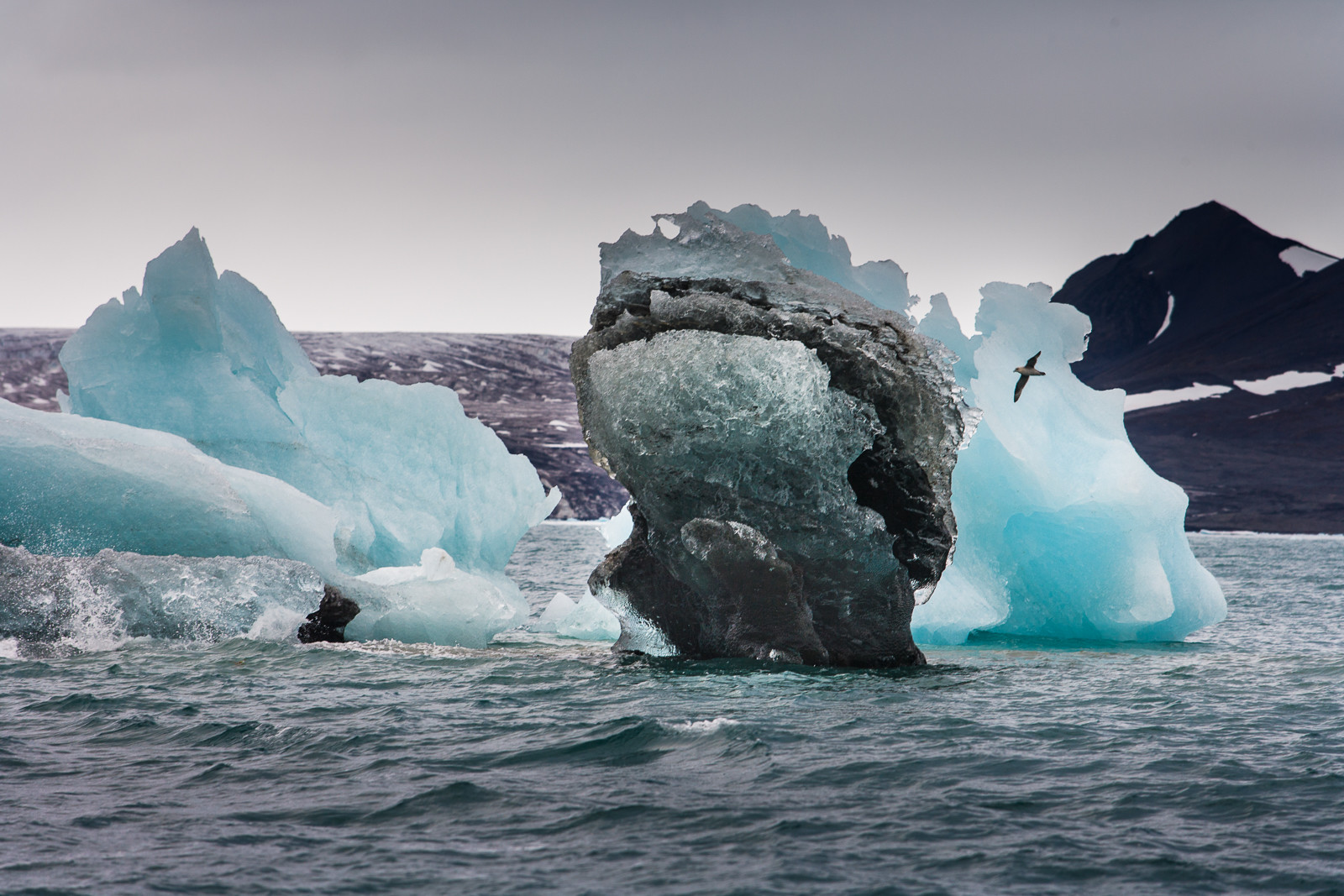 Notre Patrimoine Polaire