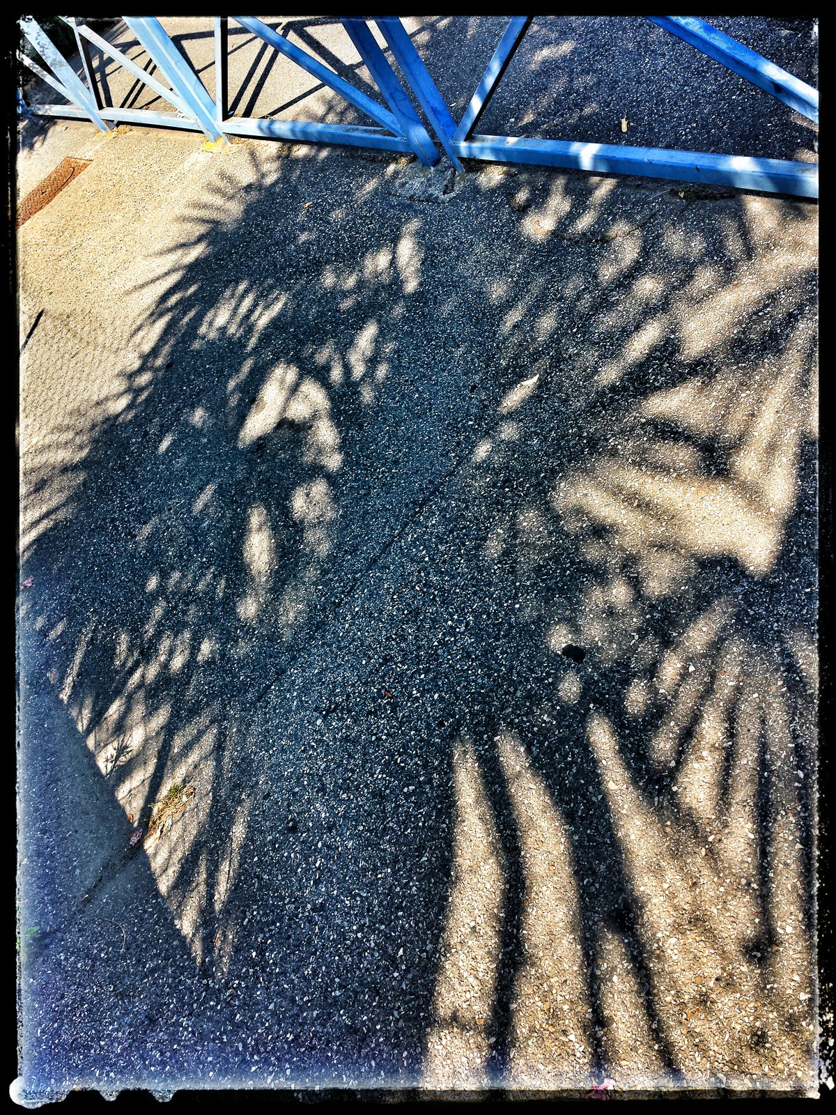 Christian_Morel_20150701_100614-01