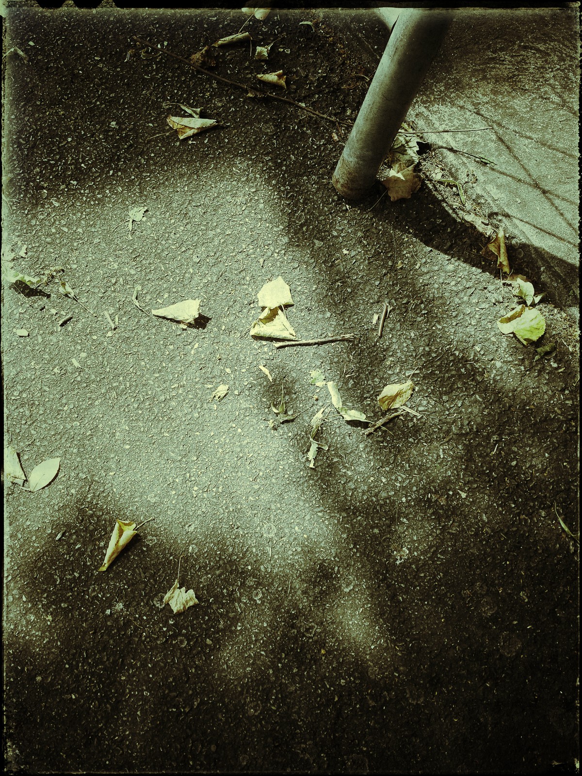 Christian_Morel_20150626_153301_1