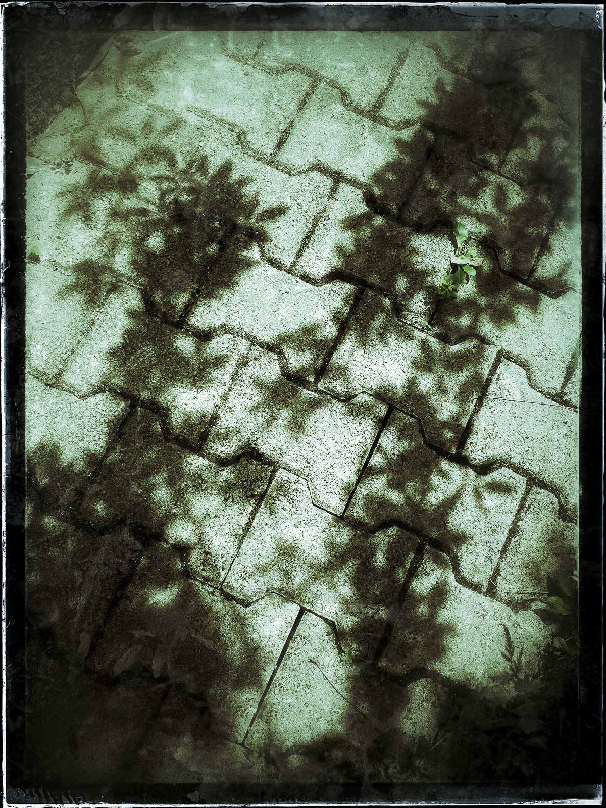 Christian_Morel_20150626_153846_1-01